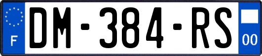 DM-384-RS