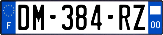 DM-384-RZ