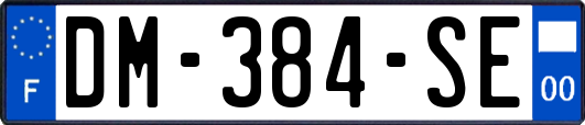 DM-384-SE