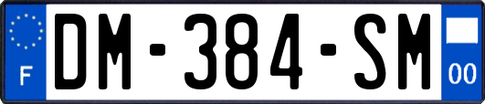 DM-384-SM