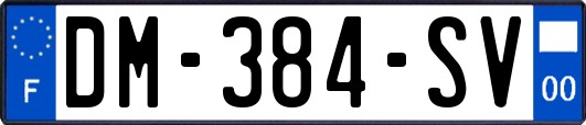 DM-384-SV