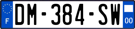 DM-384-SW