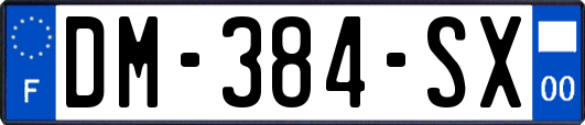 DM-384-SX