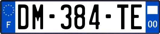 DM-384-TE