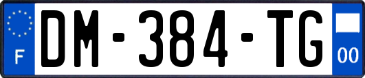 DM-384-TG