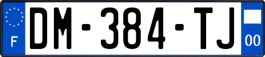 DM-384-TJ