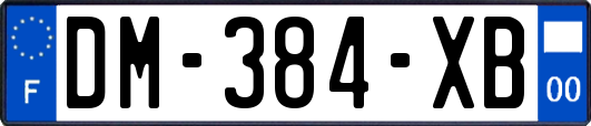 DM-384-XB