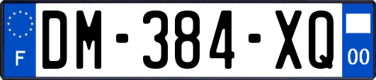 DM-384-XQ