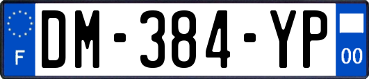 DM-384-YP