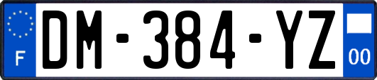 DM-384-YZ