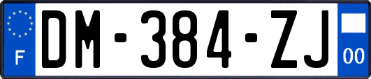 DM-384-ZJ