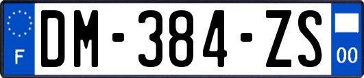 DM-384-ZS