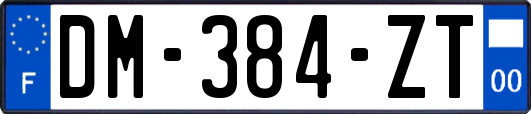 DM-384-ZT