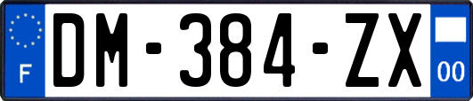 DM-384-ZX