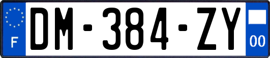 DM-384-ZY