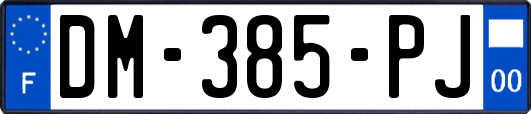 DM-385-PJ