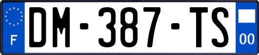 DM-387-TS