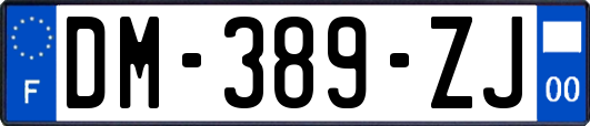 DM-389-ZJ