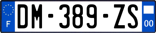 DM-389-ZS