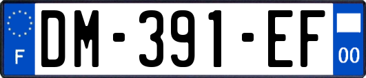 DM-391-EF