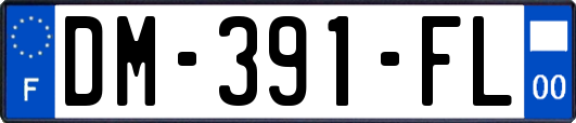 DM-391-FL