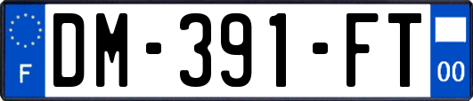 DM-391-FT