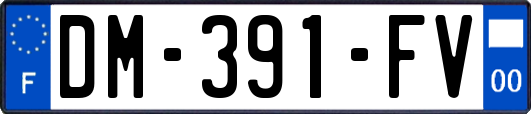 DM-391-FV