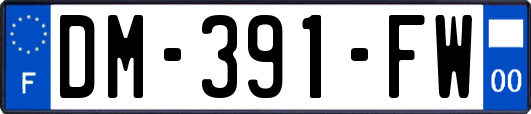 DM-391-FW