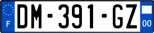 DM-391-GZ