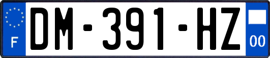 DM-391-HZ