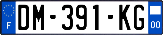 DM-391-KG