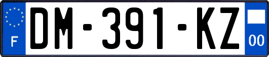 DM-391-KZ