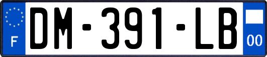 DM-391-LB
