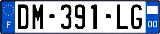 DM-391-LG