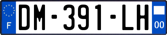 DM-391-LH