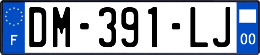 DM-391-LJ