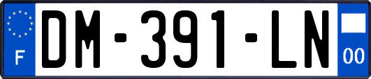 DM-391-LN