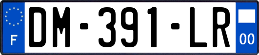DM-391-LR