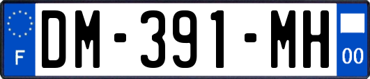 DM-391-MH
