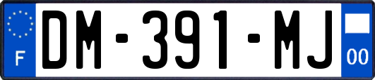 DM-391-MJ