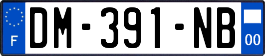 DM-391-NB