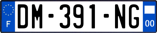 DM-391-NG