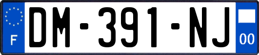 DM-391-NJ