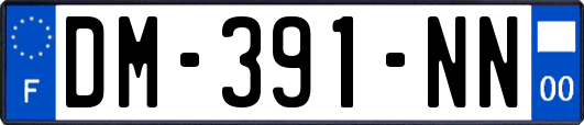 DM-391-NN