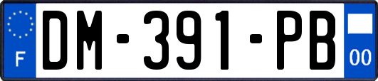 DM-391-PB