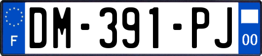 DM-391-PJ