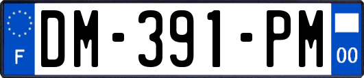 DM-391-PM