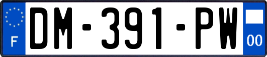 DM-391-PW