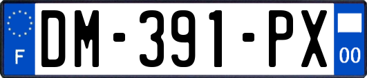 DM-391-PX