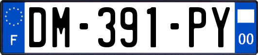 DM-391-PY